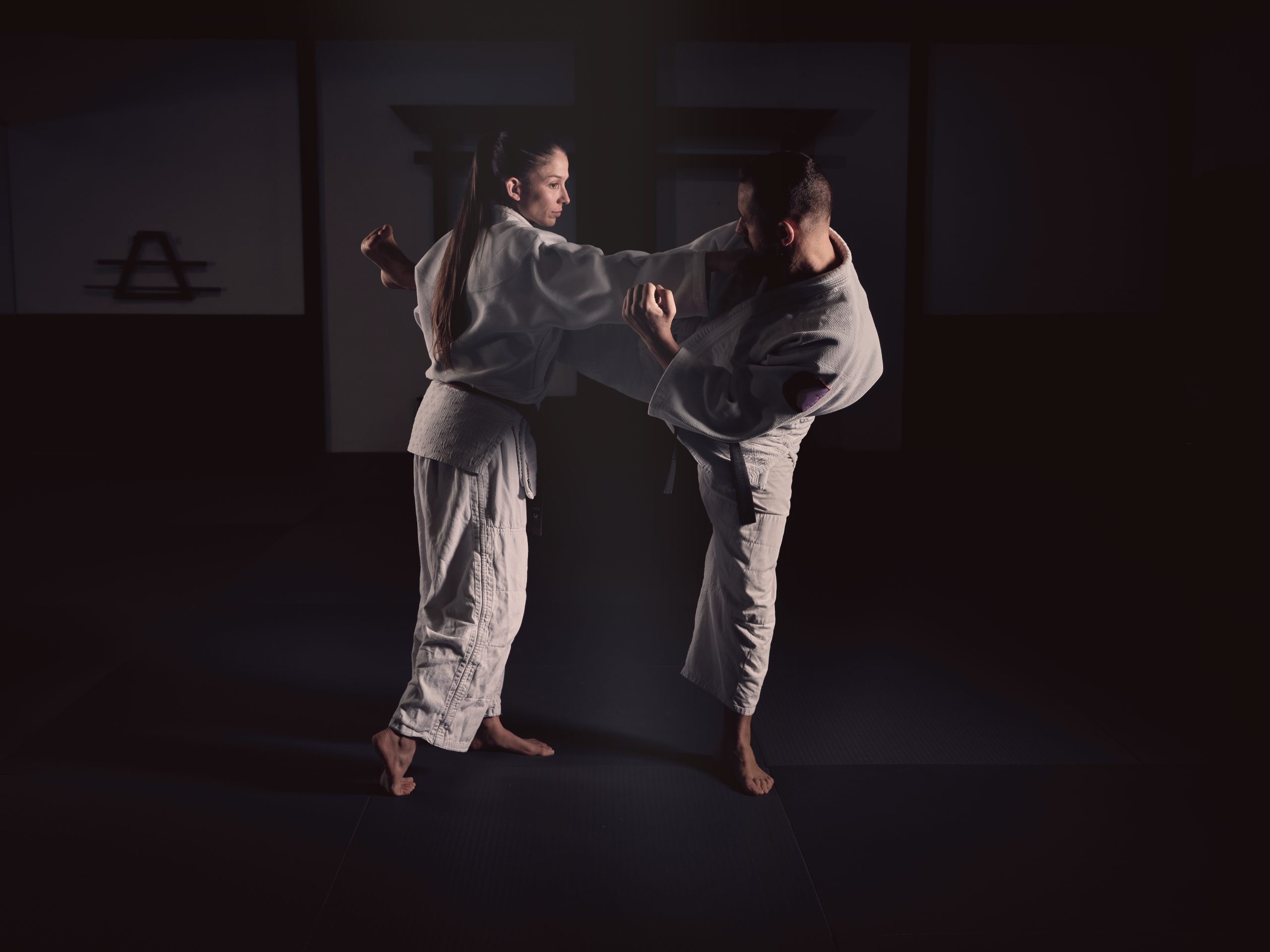 Lični treninzi samoodbrane hapkido borilačka veština personalni treninzi