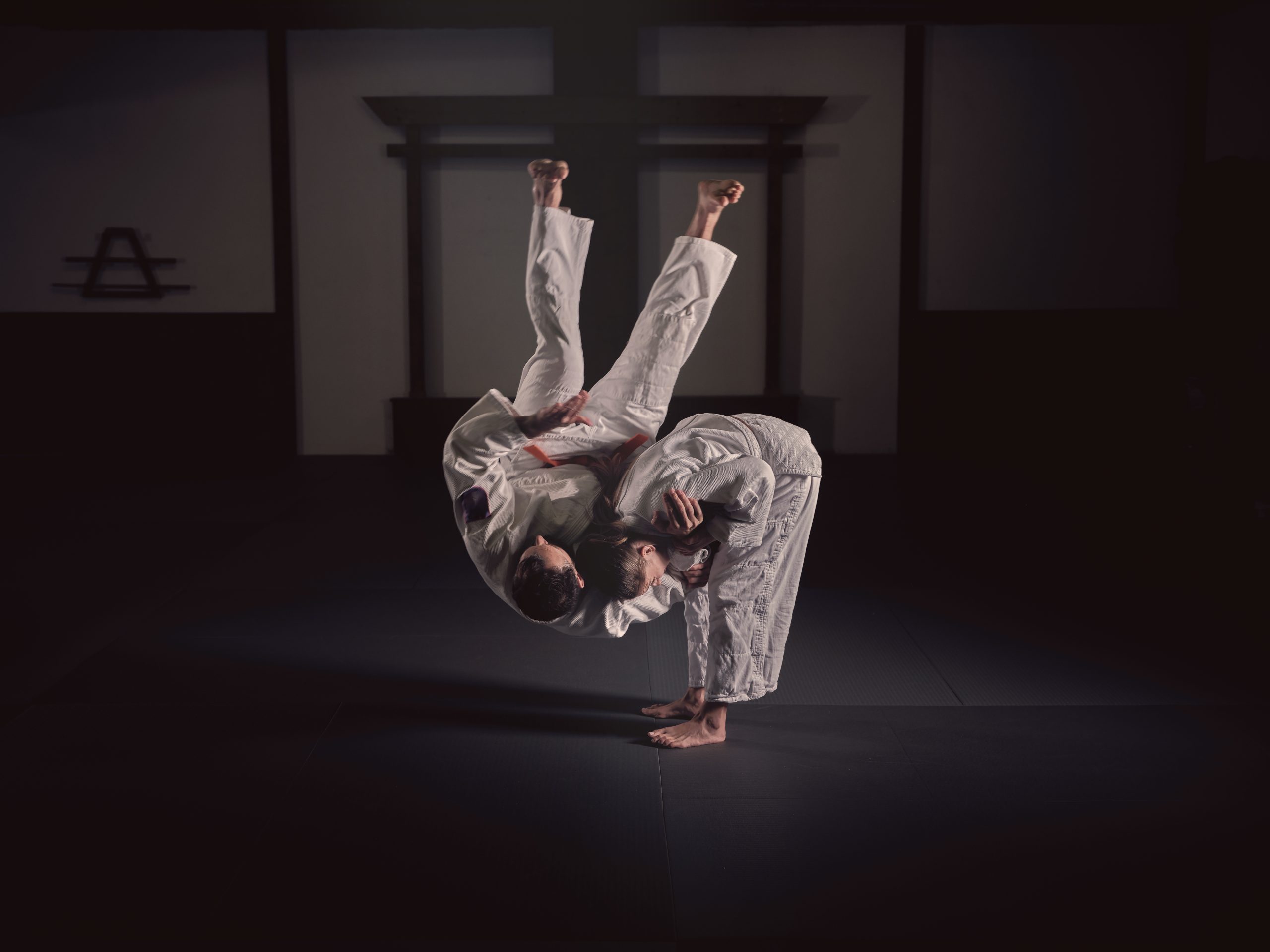 Hapkido borilačka veština za žene i muškarce samoodbrana